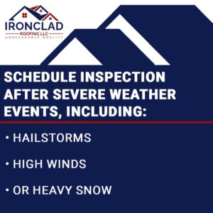 root inspection after weather